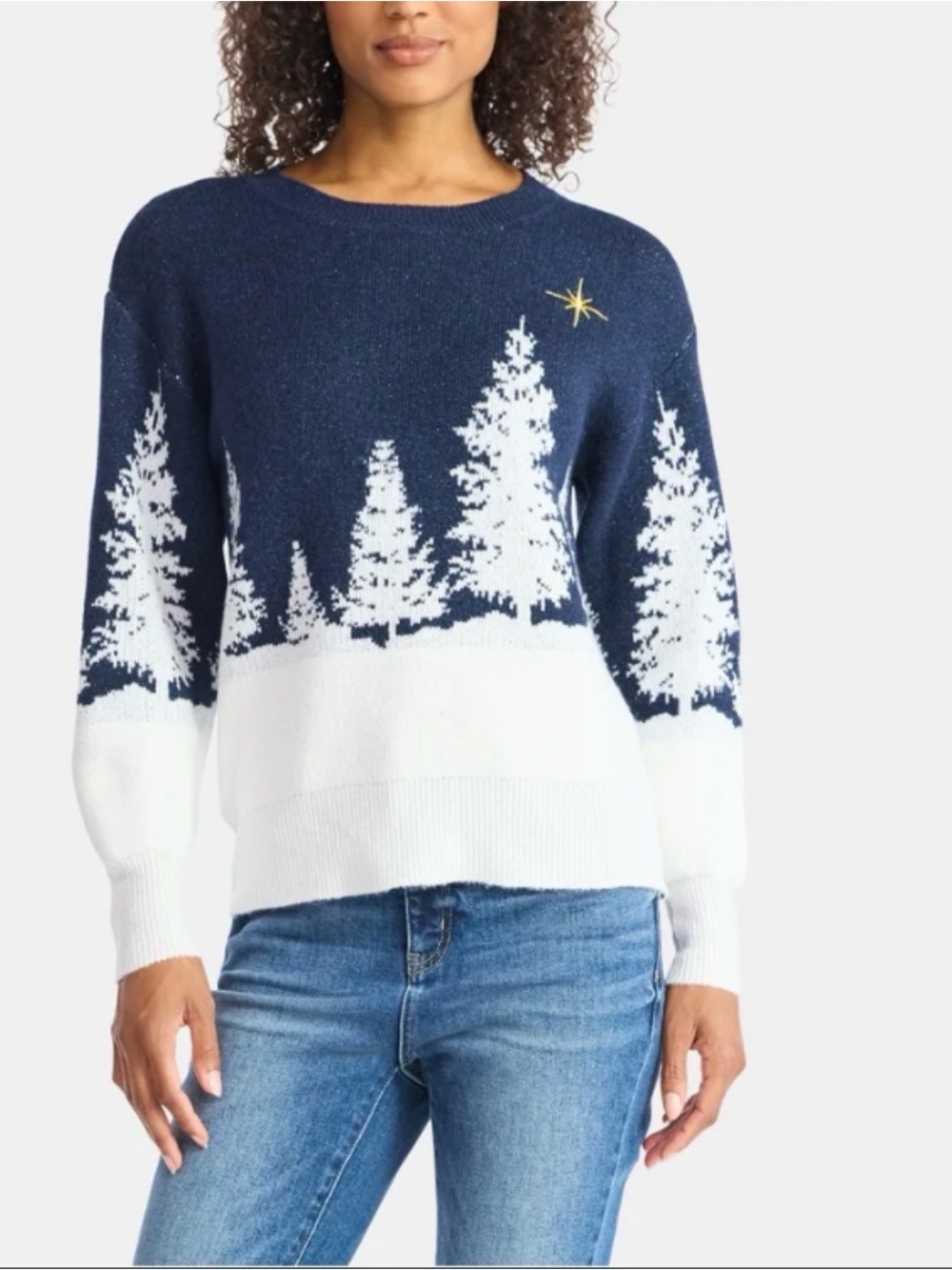 Holiday Time Navy & White Forest Crewneck Sweater with Gold Star